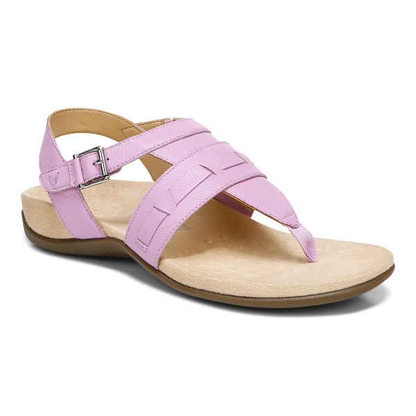 Vionic Sandals Ireland - Lupe Sandal Purple - Womens Shoes Sale | HVTFX-1249